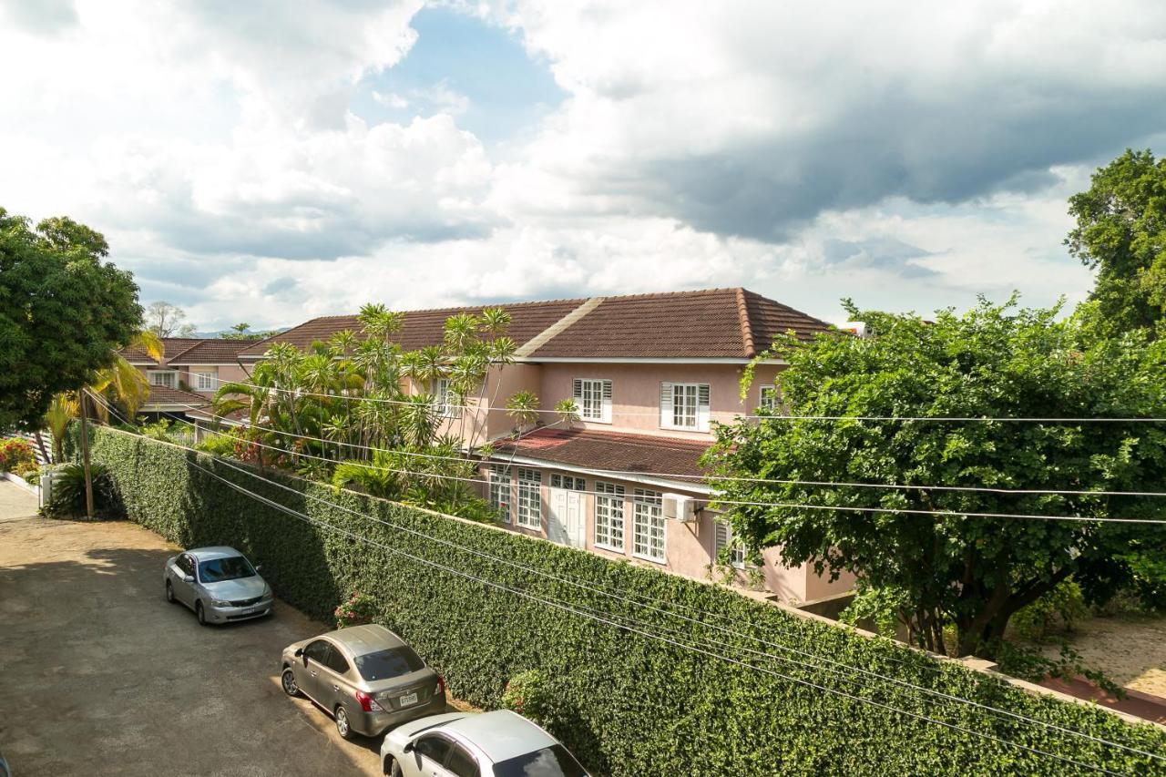 Choose To Be Happy At Seymour # 9 And #16 - Studio Apartments Kingston Zewnętrze zdjęcie